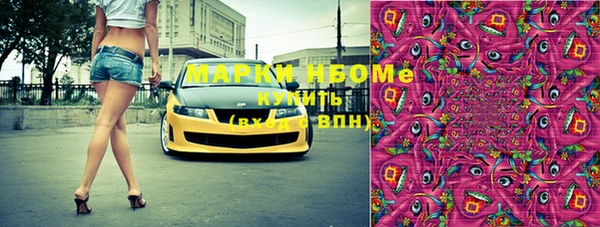 дживик Бородино